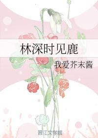 林深时见鹿封面
