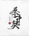 明月入君怀封面