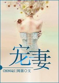 宠妻封面