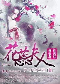 灵狐凤歌之花蕊夫人前传封面