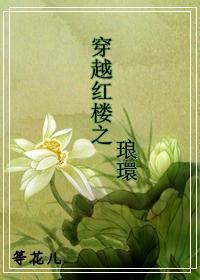 穿越红楼之琅环封面