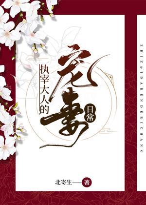 执宰大人的宠妻日常封面