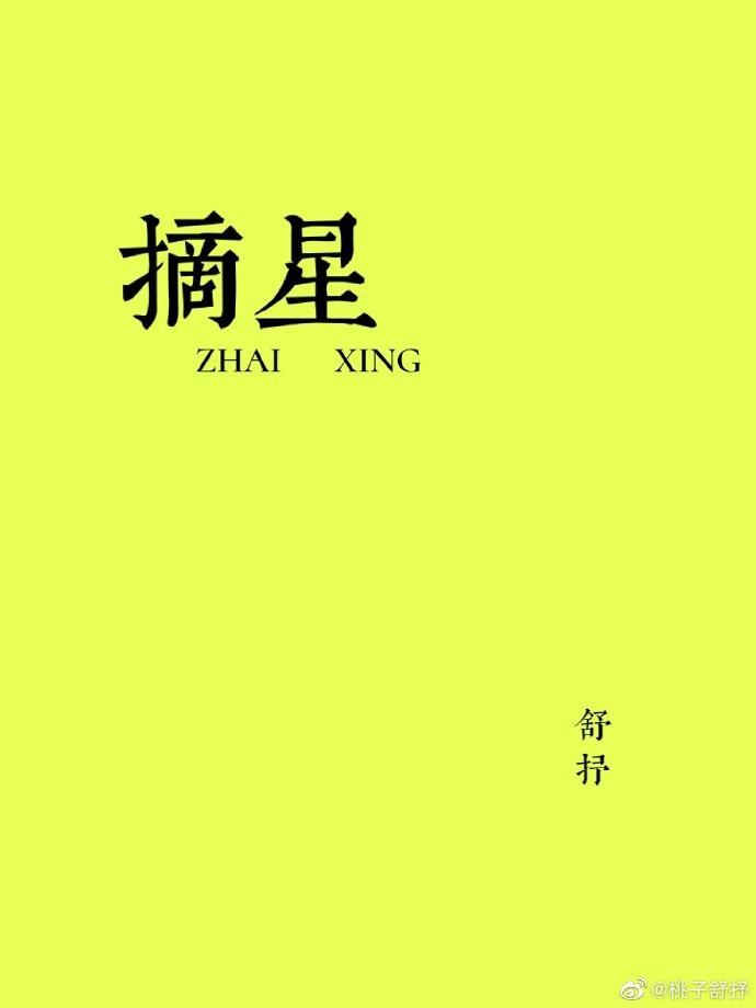 摘星封面