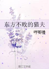 东方不败的猫夫封面