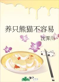 养只熊猫不容易封面