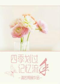 四季划过 记忆流年封面