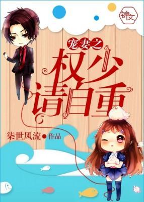 宠妻之权少请自重封面