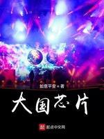 大国芯片封面