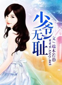 少爷无耻封面