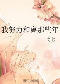 我努力和离那些年封面