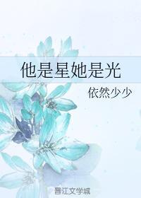 他是星她是光封面