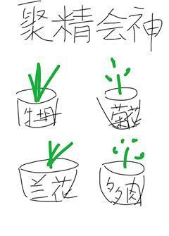 聚精会神封面