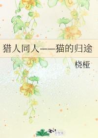 猎人同人——猫的归途封面