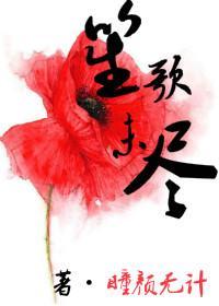 笙歌未尽封面