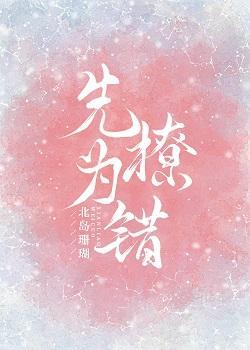 先撩为错封面