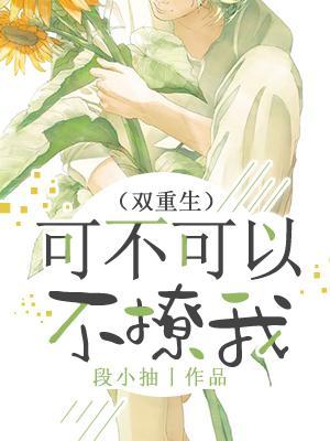 可不可以不撩我(双重生)封面