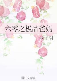 六零之极品爸妈封面