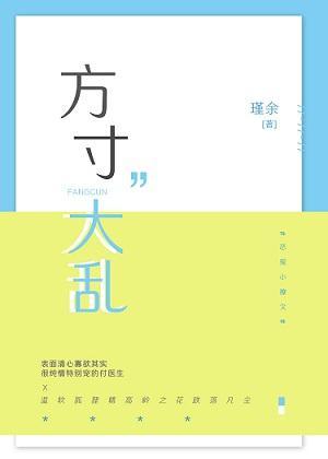 方寸大乱封面