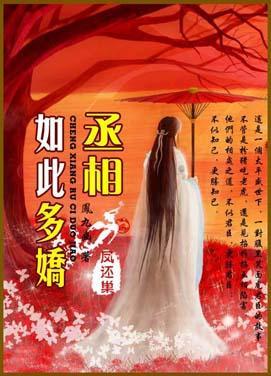 丞相如此多娇封面