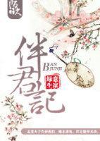 伴君记封面