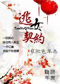 逃女契约封面