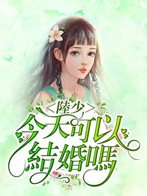 陆少，今天可以结婚吗封面