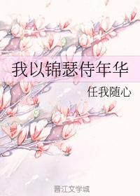 我以锦瑟侍年华封面