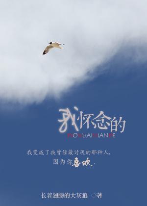 我怀念的封面