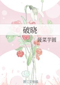 破晓封面