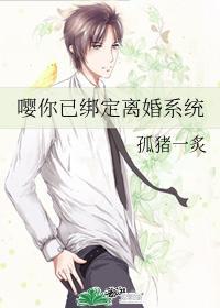 嘤你已绑定离婚系统封面