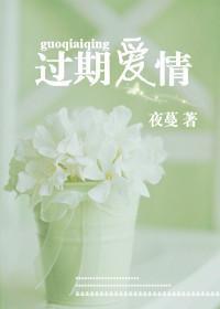 过期爱情封面