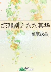 综韩剧之灼灼其华封面