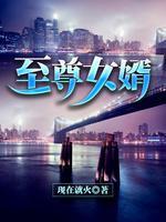 至尊女婿封面