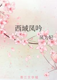 西域凤吟封面