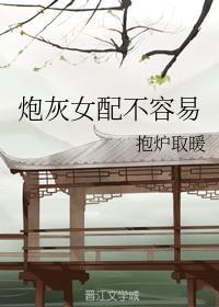 炮灰女配不容易封面