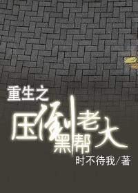 压倒黑帮老大封面