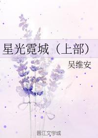 星光霓城（上）封面