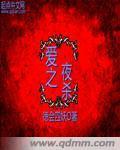 爱之夜杀封面