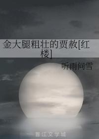 金大腿粗壮的贾赦[红楼]封面
