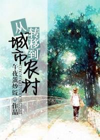 从城市转移到农村封面