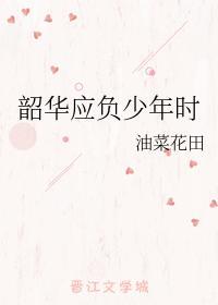 韶华应负少年时封面
