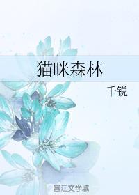 猫咪森林封面