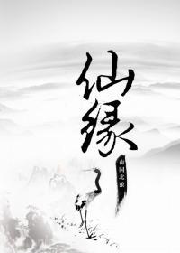 仙缘封面