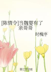 [陈情令]当魏婴有了亲哥哥封面