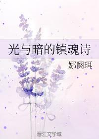 光与暗的镇魂诗封面