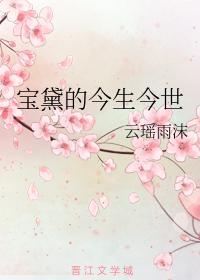 宝黛的今生今世封面
