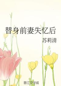替身前妻失忆后封面