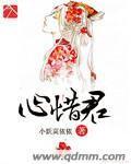 心惜君封面