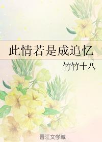 此情若是成追忆封面