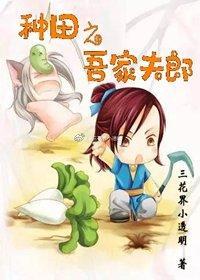 种田之吾家夫郎封面